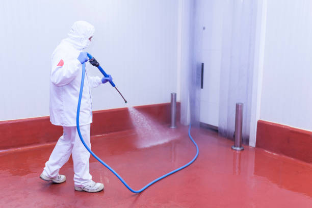 Best Pool Deck Cleaning  in St Helena, CA