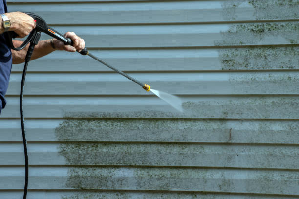 Animal Enclosure Cleaning in St Helena, CA